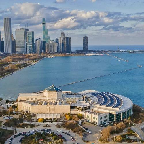  بالا نرفته میبینی که پایین اومد تمام عمرتو دادی و واستادی تو صف